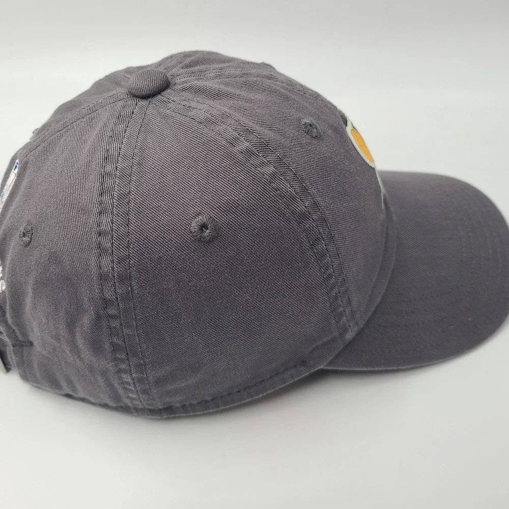 Youth Golden State Warriors Hat Strapback Adidas Gray NBA 2017 Champions 5x Logo